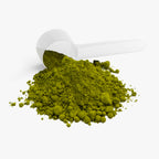 Ceremonial Matcha Green Tea Powder from Kyoto, Japan