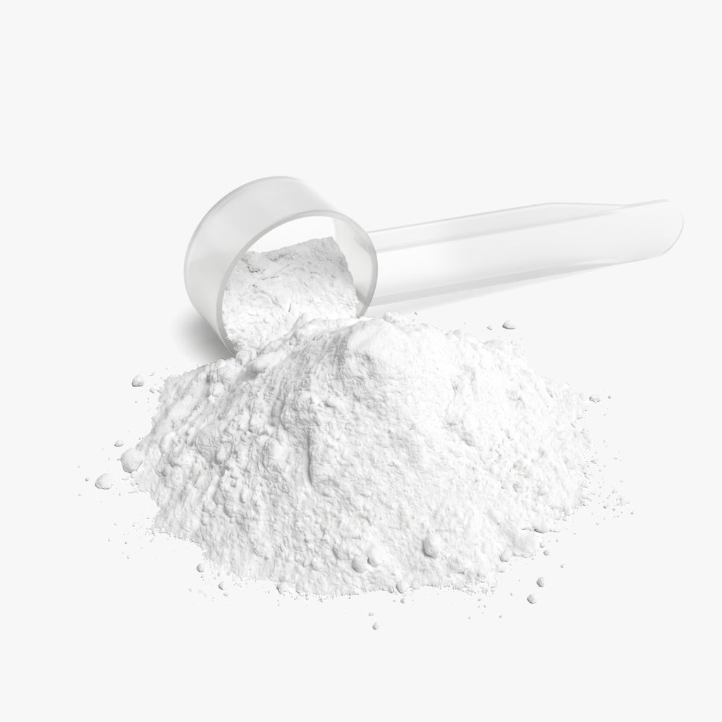 L-Glutamine Powder, 3.15g per Scoop