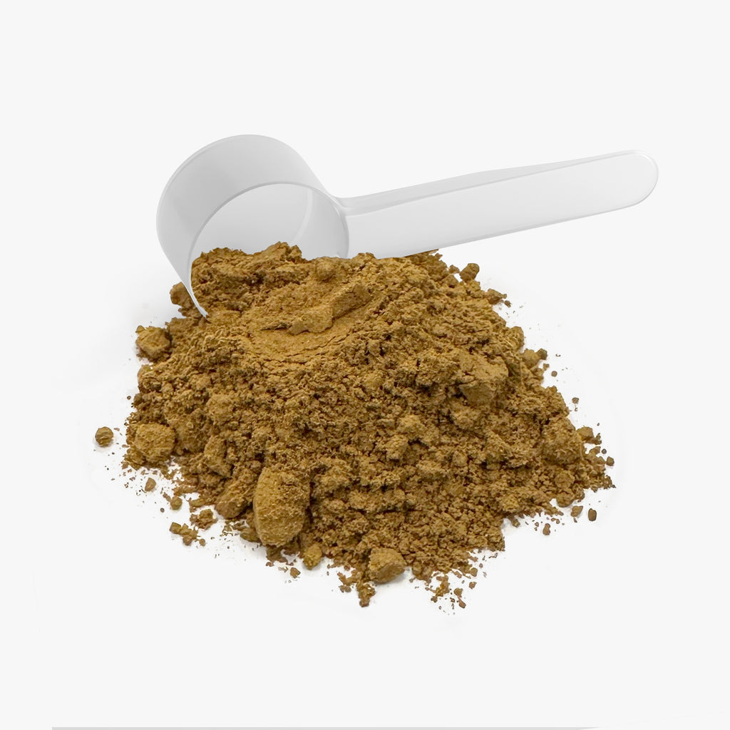 Mushroom Fuse Instant Coffee with Lion's Mane