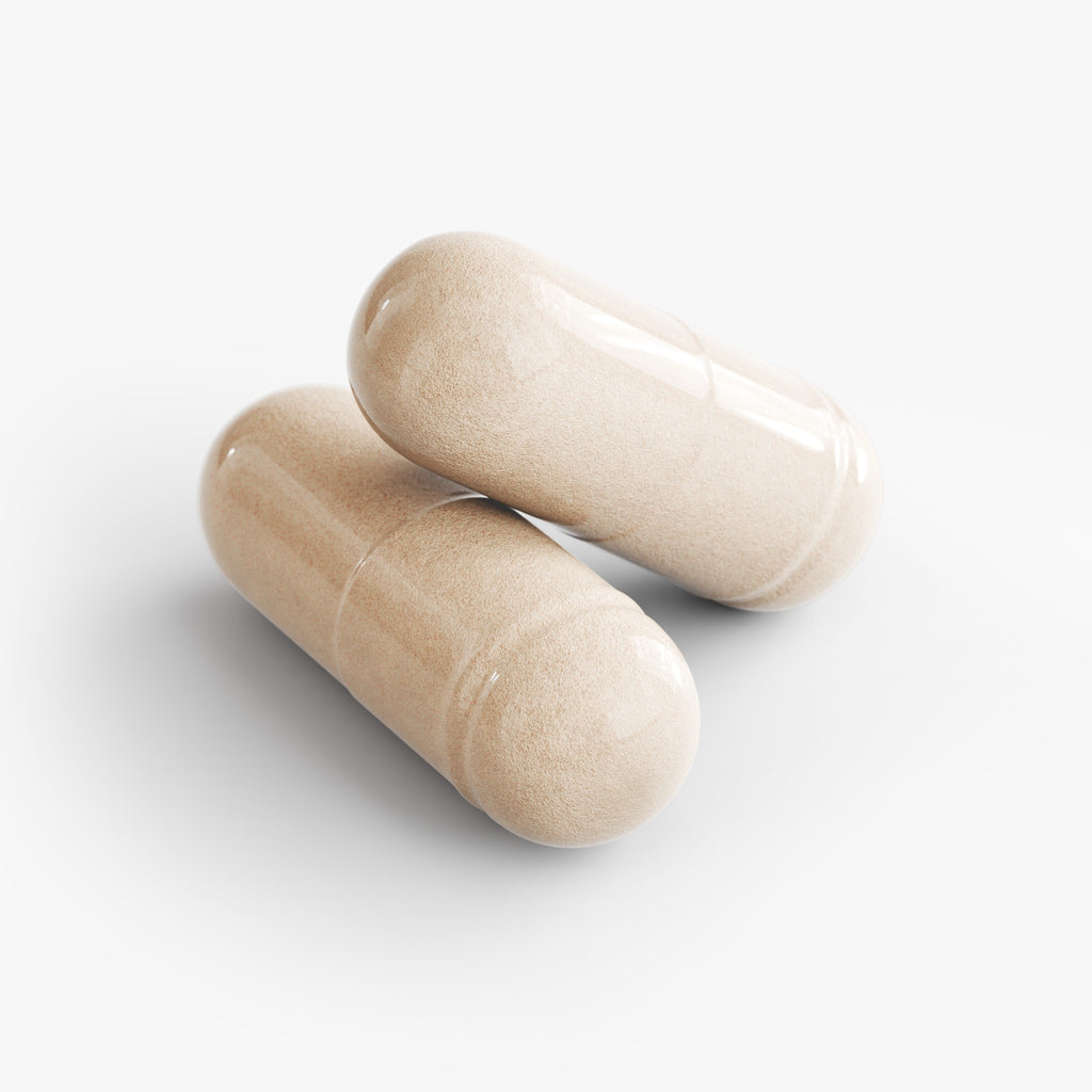 Metabolism Support with Probiotics & Enzymes