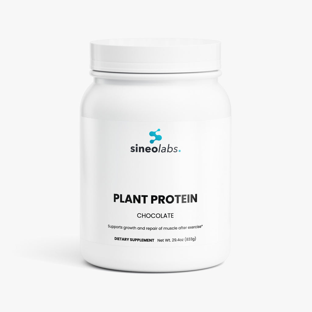 Plant Protein Powder, 21g Protein, Chocolate
