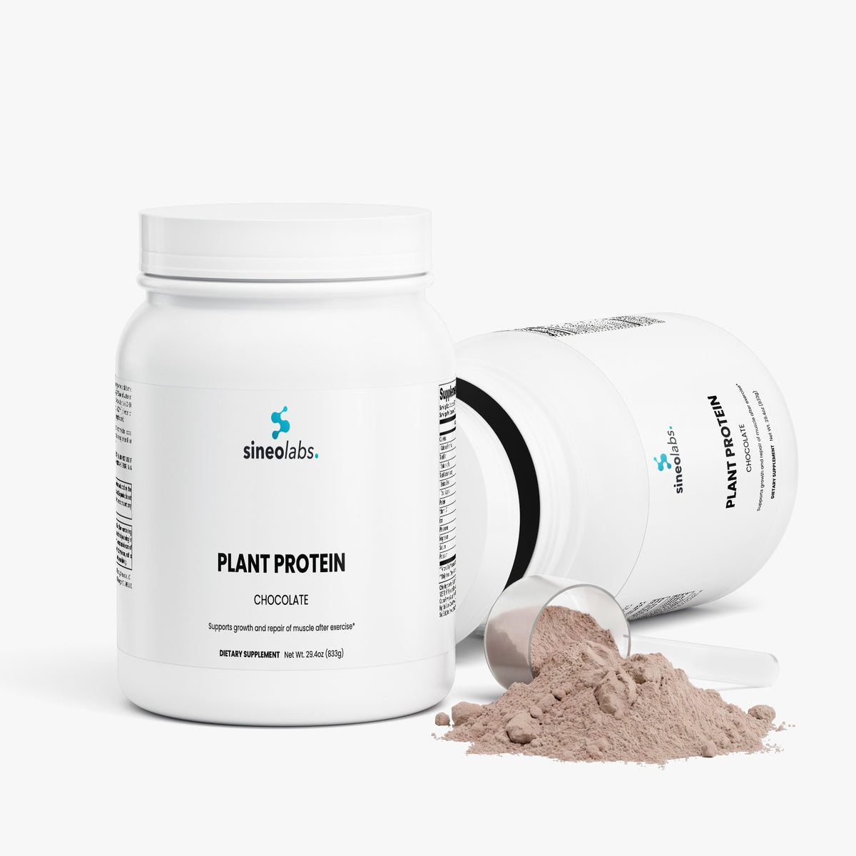 Plant Protein Powder, 21g Protein, Chocolate