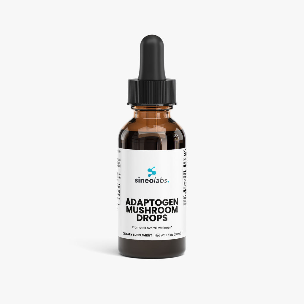 Adaptogen Mushroom Drops with Chaga & Reishi