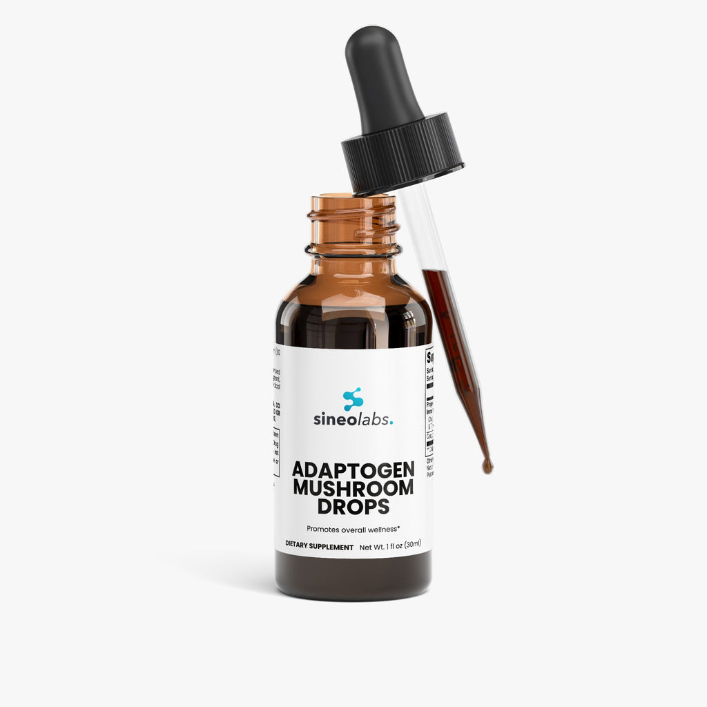 Adaptogen Mushroom Drops with Chaga & Reishi