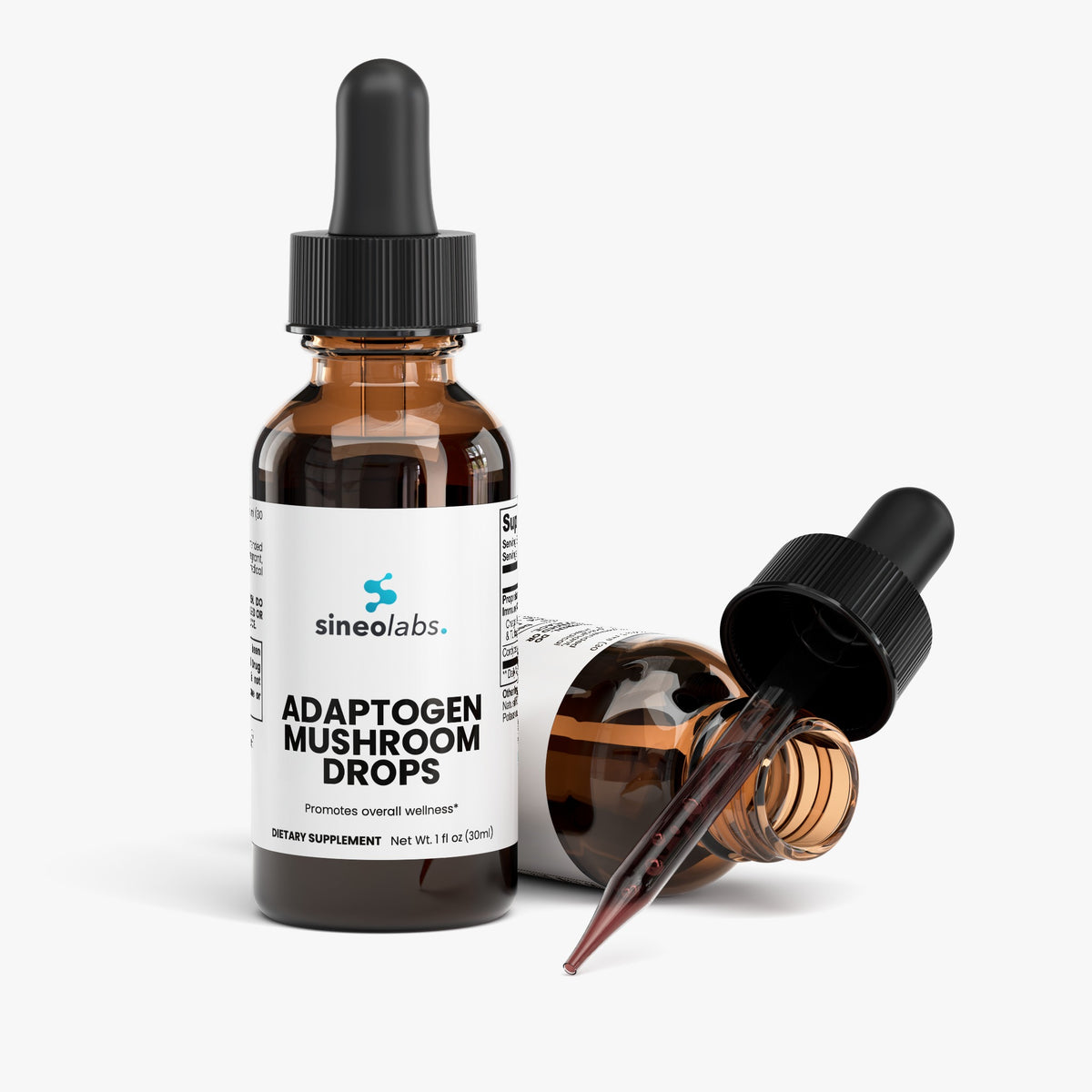 Adaptogen Mushroom Drops with Chaga & Reishi