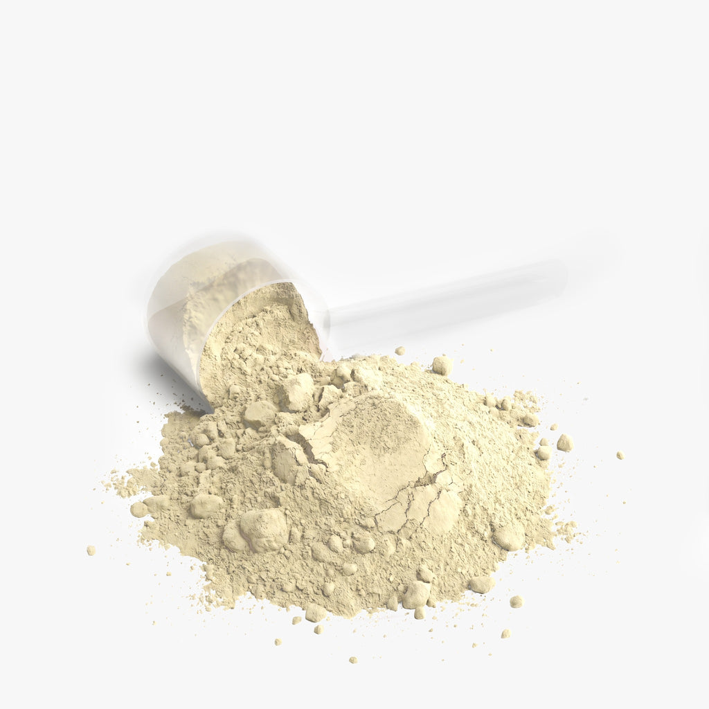 Performance Whey Protein, 22g Protein, Vanilla
