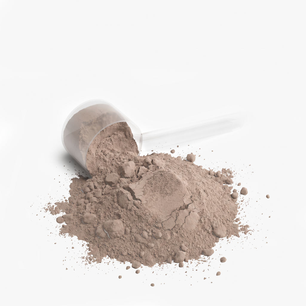 Performance Whey Protein, 22g Protein, Chocolate