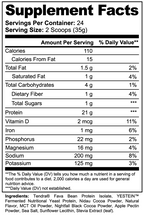 Plant Protein Powder, 21g Protein, Chocolate