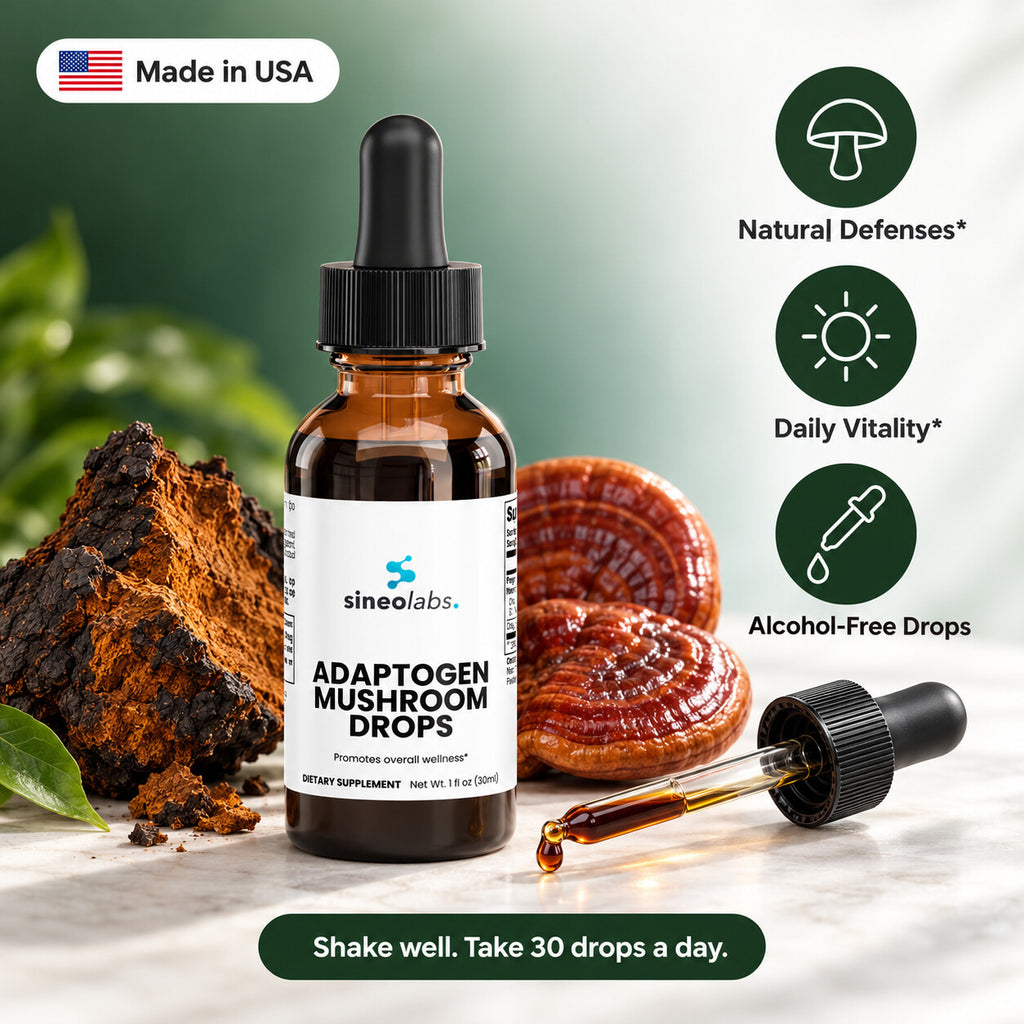Adaptogen Mushroom Drops with Chaga & Reishi: Natural Defenses, Daily Vitality, Alcohol-Free Drops