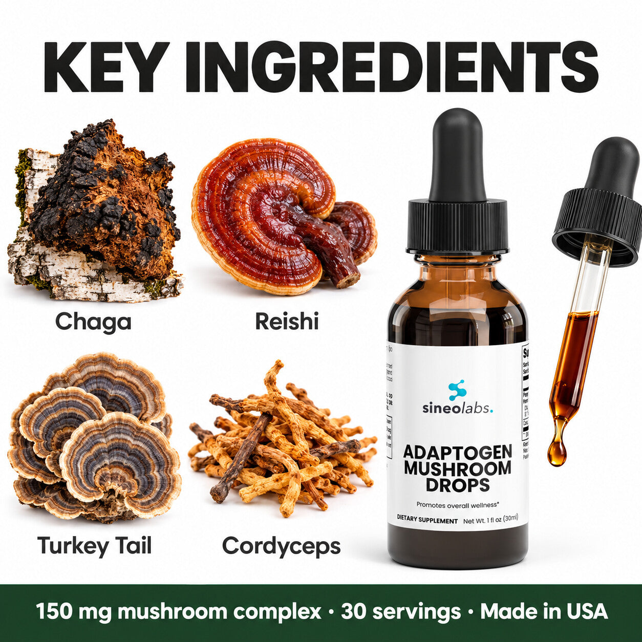 Adaptogen Mushroom Drops with Chaga & Reishi: Chaga, Reishi, Turkey Tail, Cordyceps