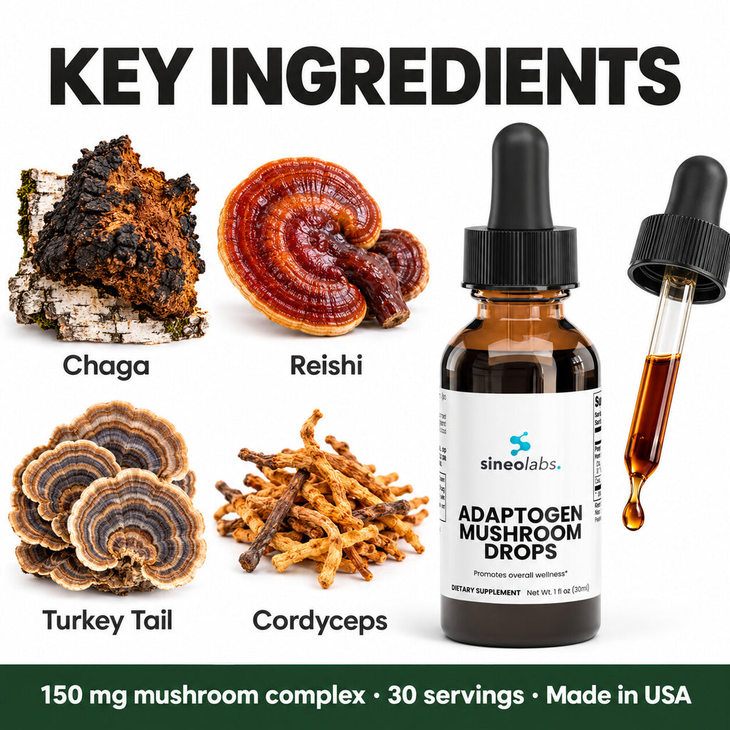 Adaptogen Mushroom Drops with Chaga & Reishi: Chaga, Reishi, Turkey Tail, Cordyceps