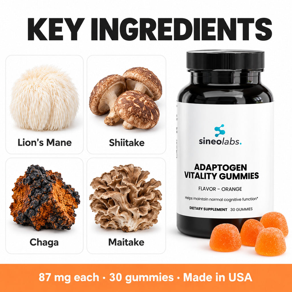 Adaptogen Vitality Gummies with Lion's Mane, Orange: Lion's Mane, Shiitake, Chaga, Maitake