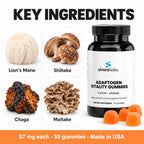 Adaptogen Vitality Gummies with Lion's Mane, Orange: Lion's Mane, Shiitake, Chaga, Maitake