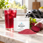 Beetroot Powder 1,375mg with Hibiscus & Apple on a kitchen counter after a bike ride