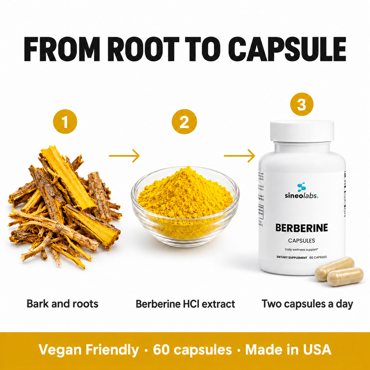 How Berberine is made: bark and roots, a Berberine HCl extract, two capsules a day
