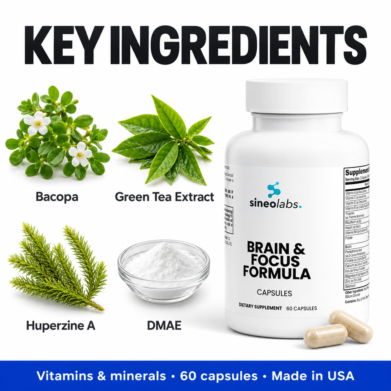 Key ingredients of Brain & Focus Formula: Bacopa, Green Tea Extract, Huperzine A, DMAE