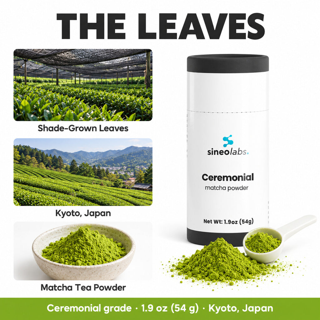 Ceremonial Matcha Green Tea Powder from Kyoto, Japan: Shade-Grown Leaves, Kyoto, Japan, Matcha Tea Powder