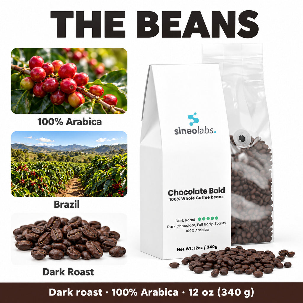 Chocolate Bold Dark Roast Coffee, Whole Bean 12oz: 100% Arabica, Brazil, Dark Roast