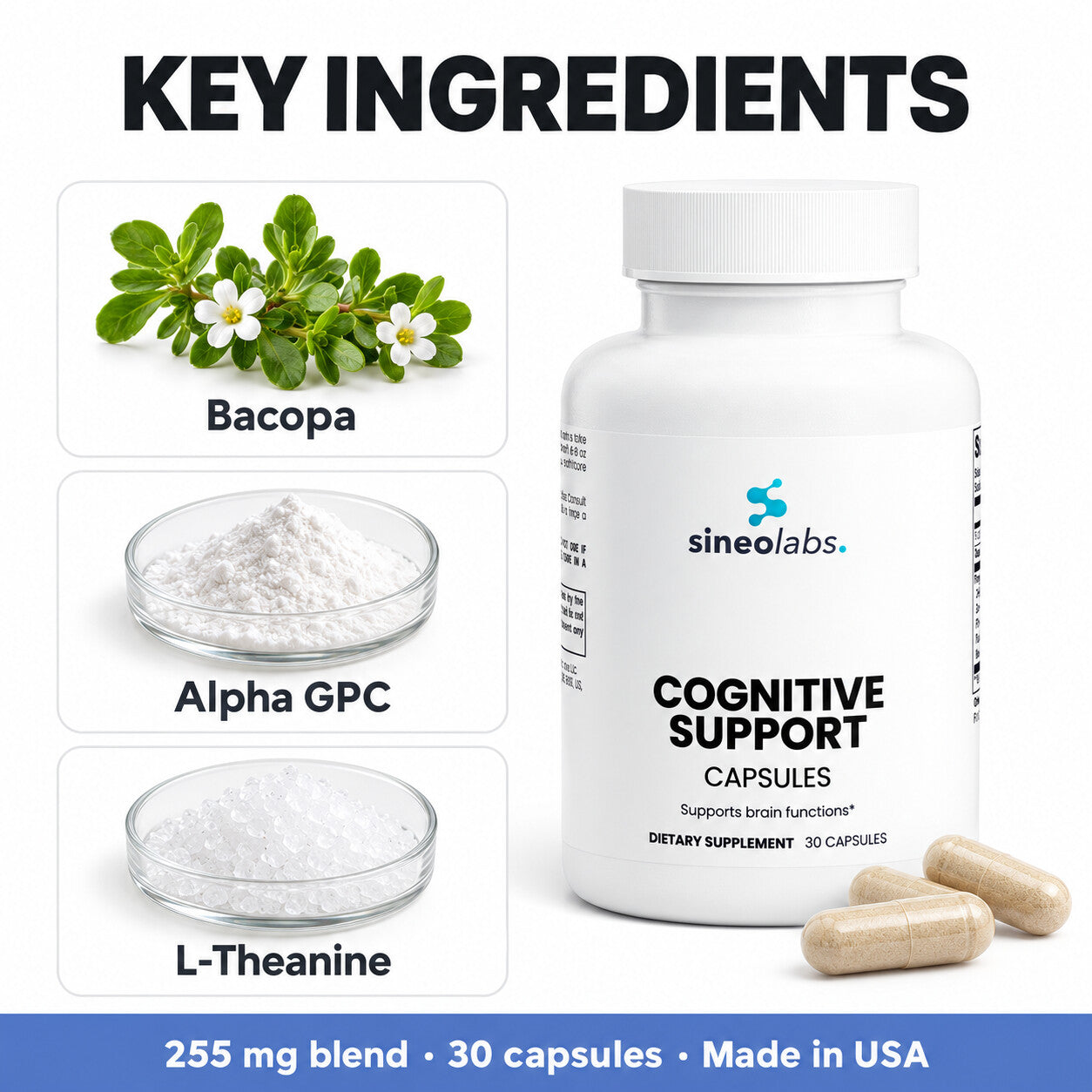 Cognitive Support with Alpha GPC & Bacopa: Bacopa, Alpha GPC, L-Theanine