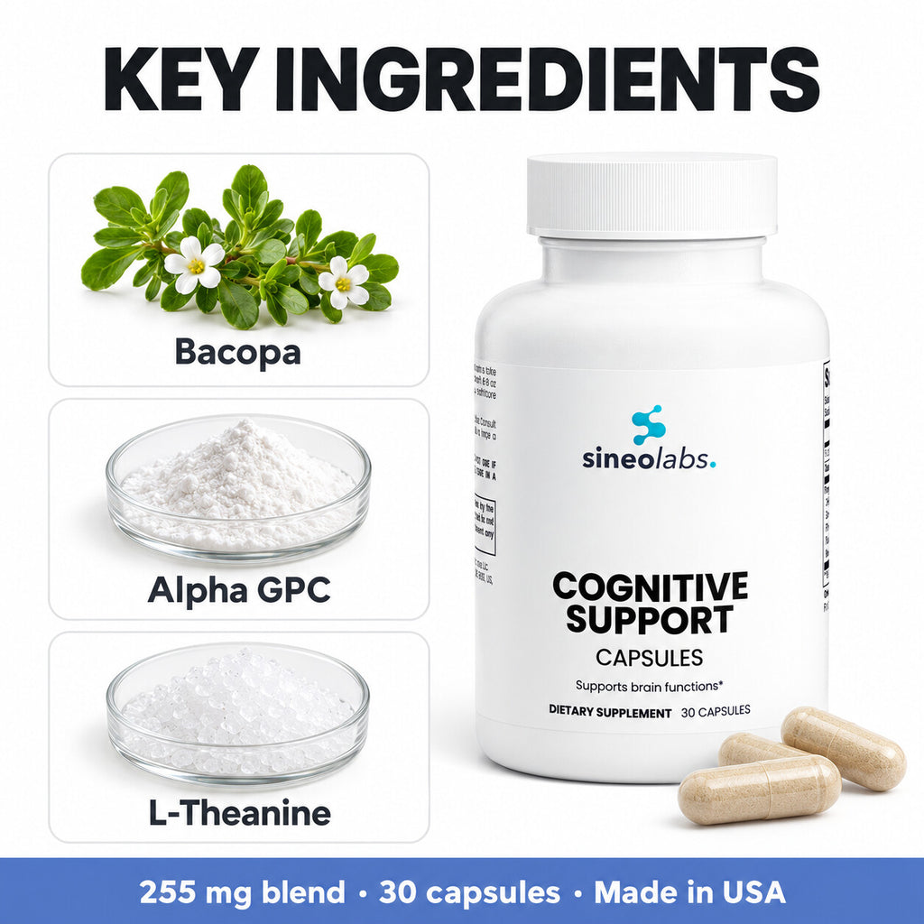 Cognitive Support with Alpha GPC & Bacopa: Bacopa, Alpha GPC, L-Theanine