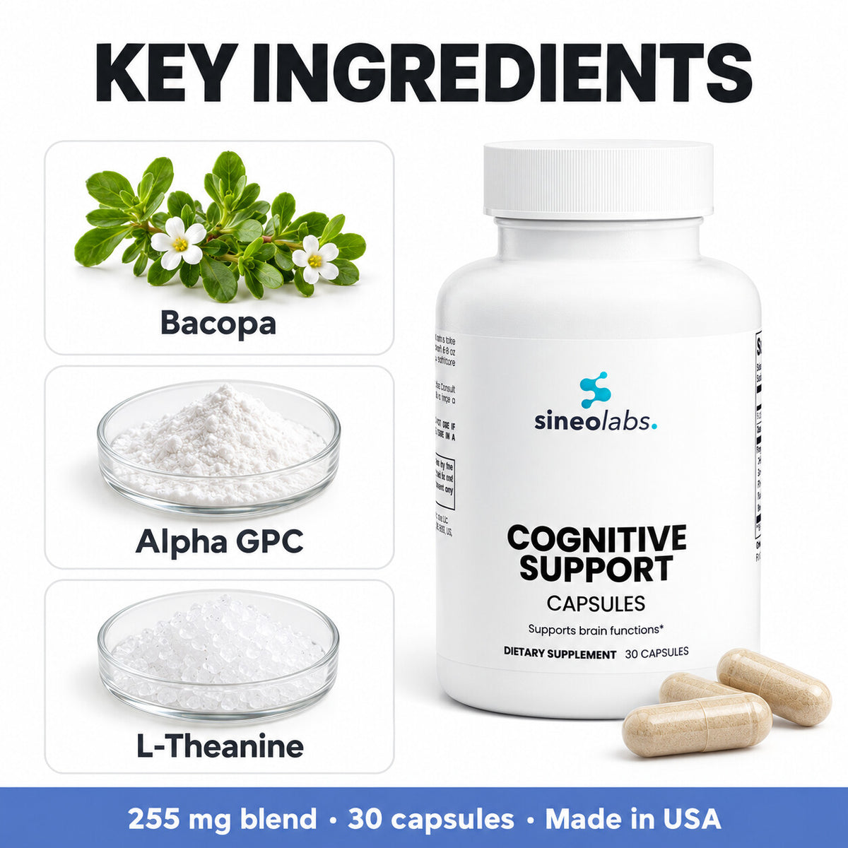 Cognitive Support with Alpha GPC & Bacopa: Bacopa, Alpha GPC, L-Theanine