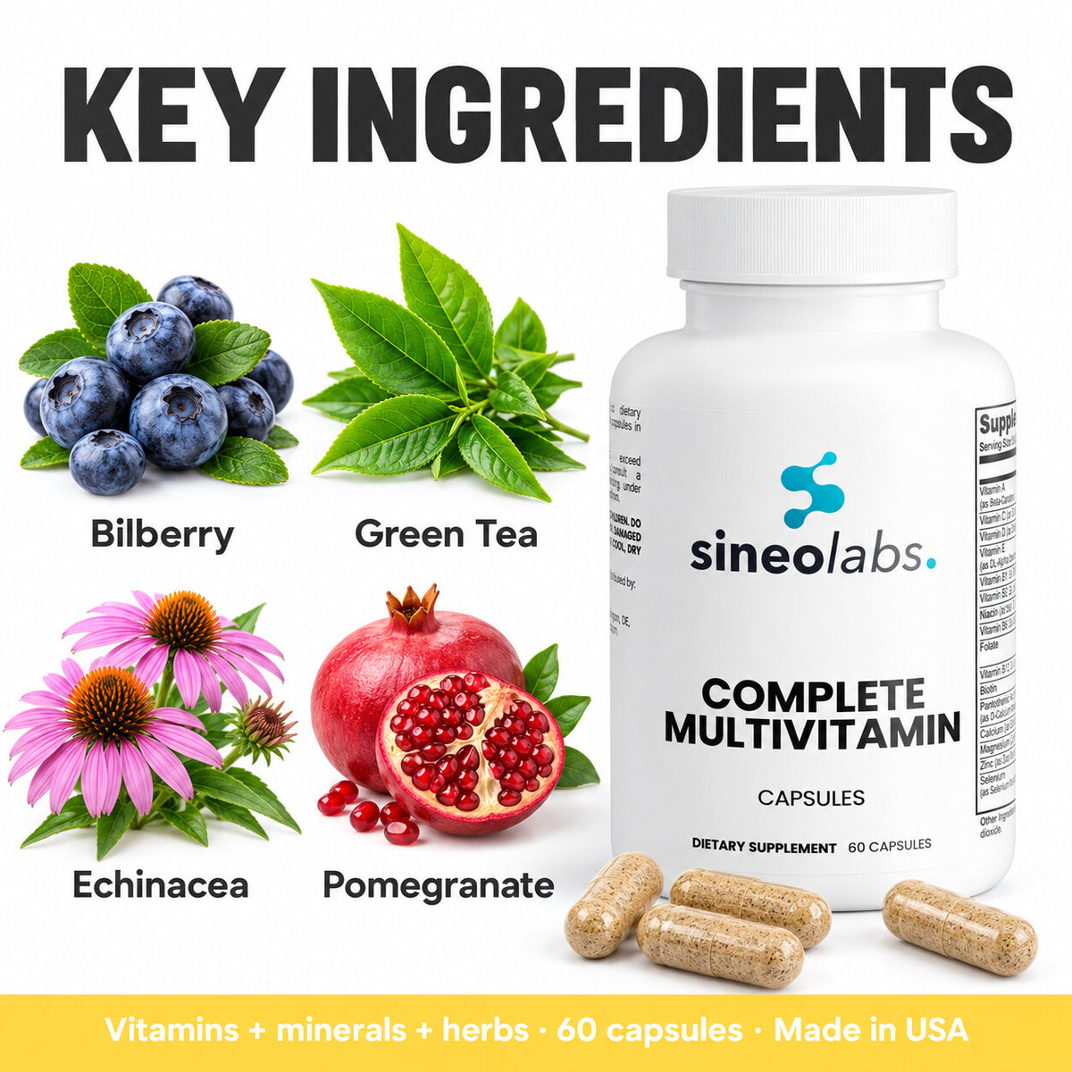 Complete Multivitamin Capsules with Zinc & B12: Bilberry, Green Tea, Echinacea, Pomegranate