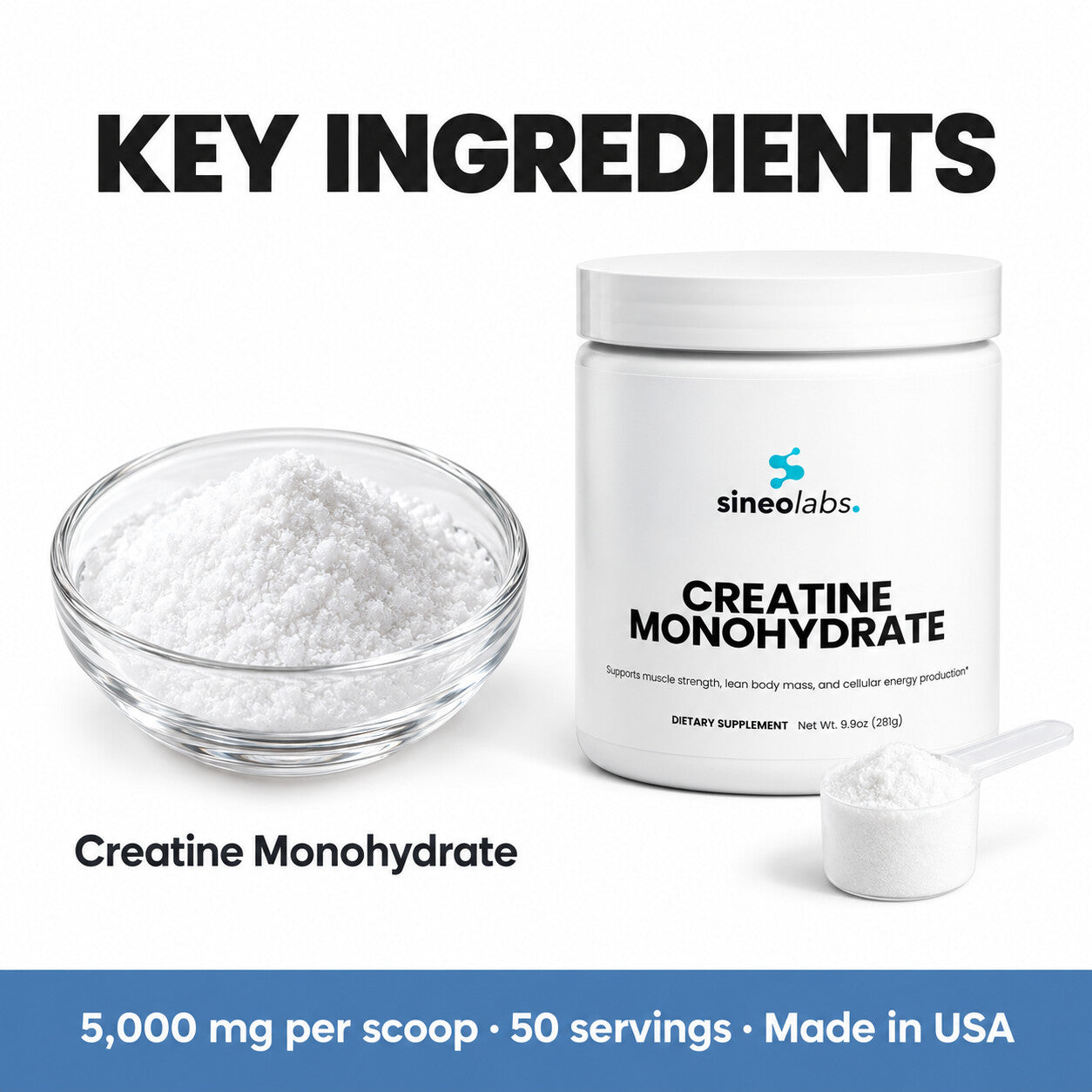 Creatine Monohydrate Powder 5,000mg, Unflavored: Creatine Monohydrate