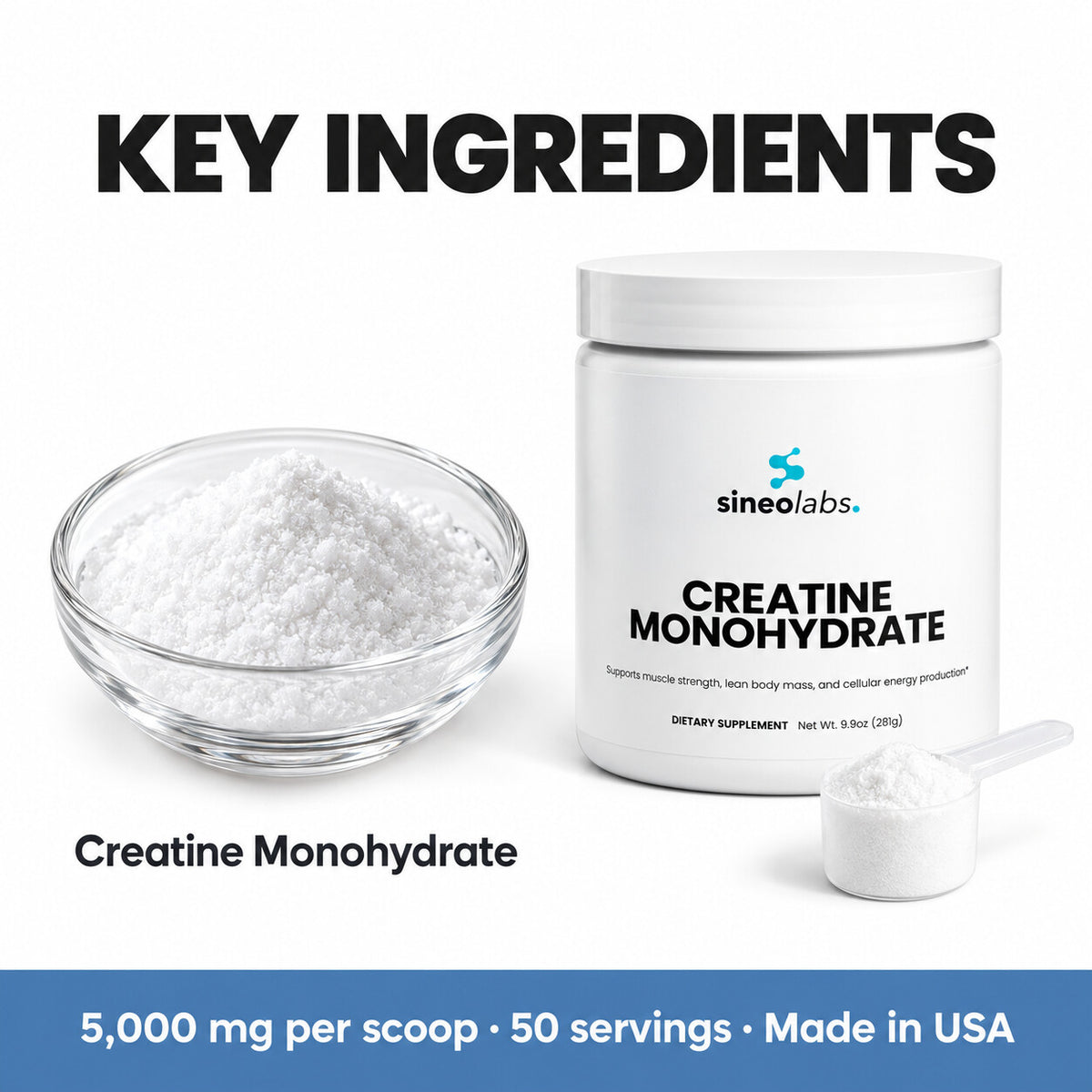 Creatine Monohydrate Powder 5,000mg, Unflavored: Creatine Monohydrate