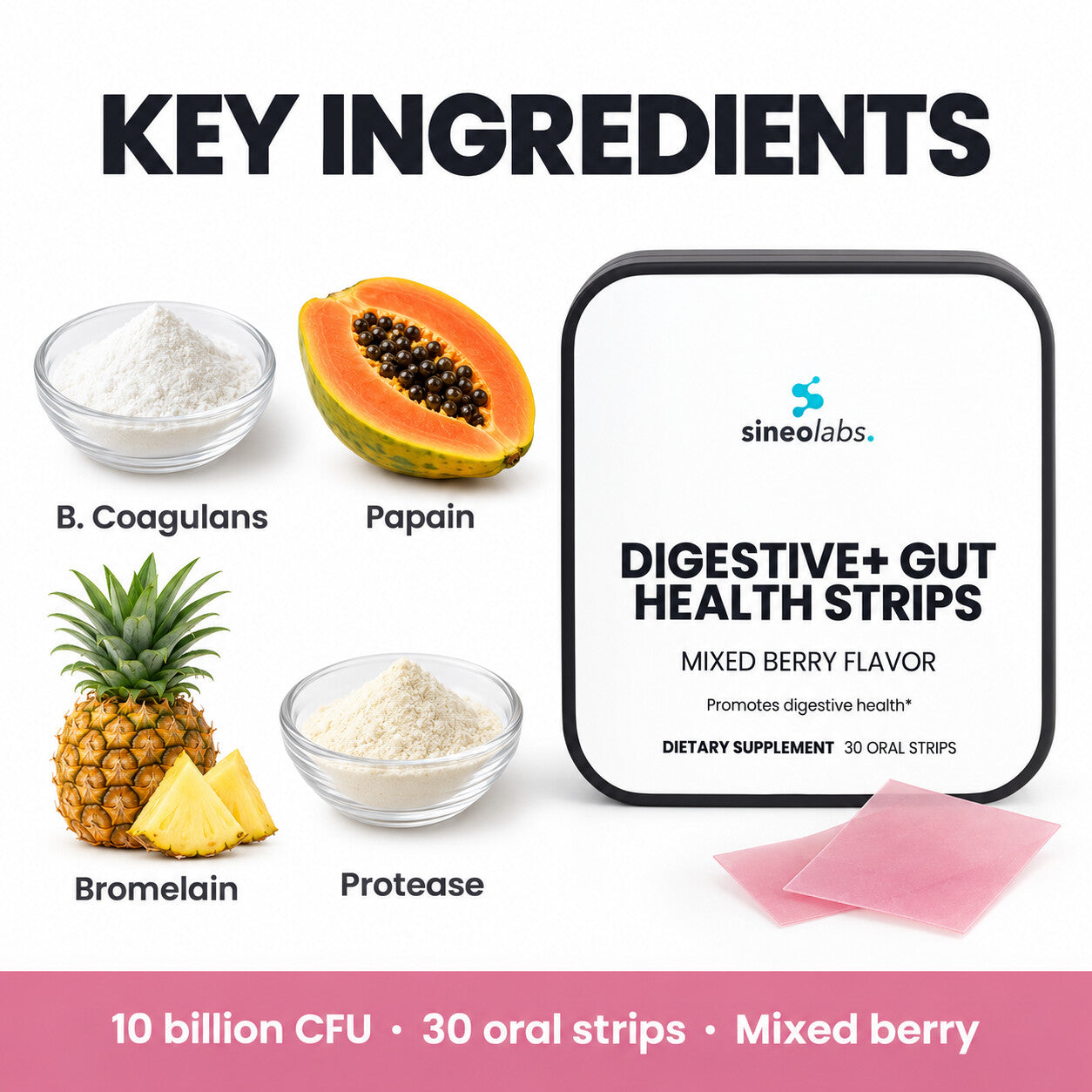 Digestive + Gut Health Strips, 10 Billion CFU: B. Coagulans, Papain, Bromelain, Protease