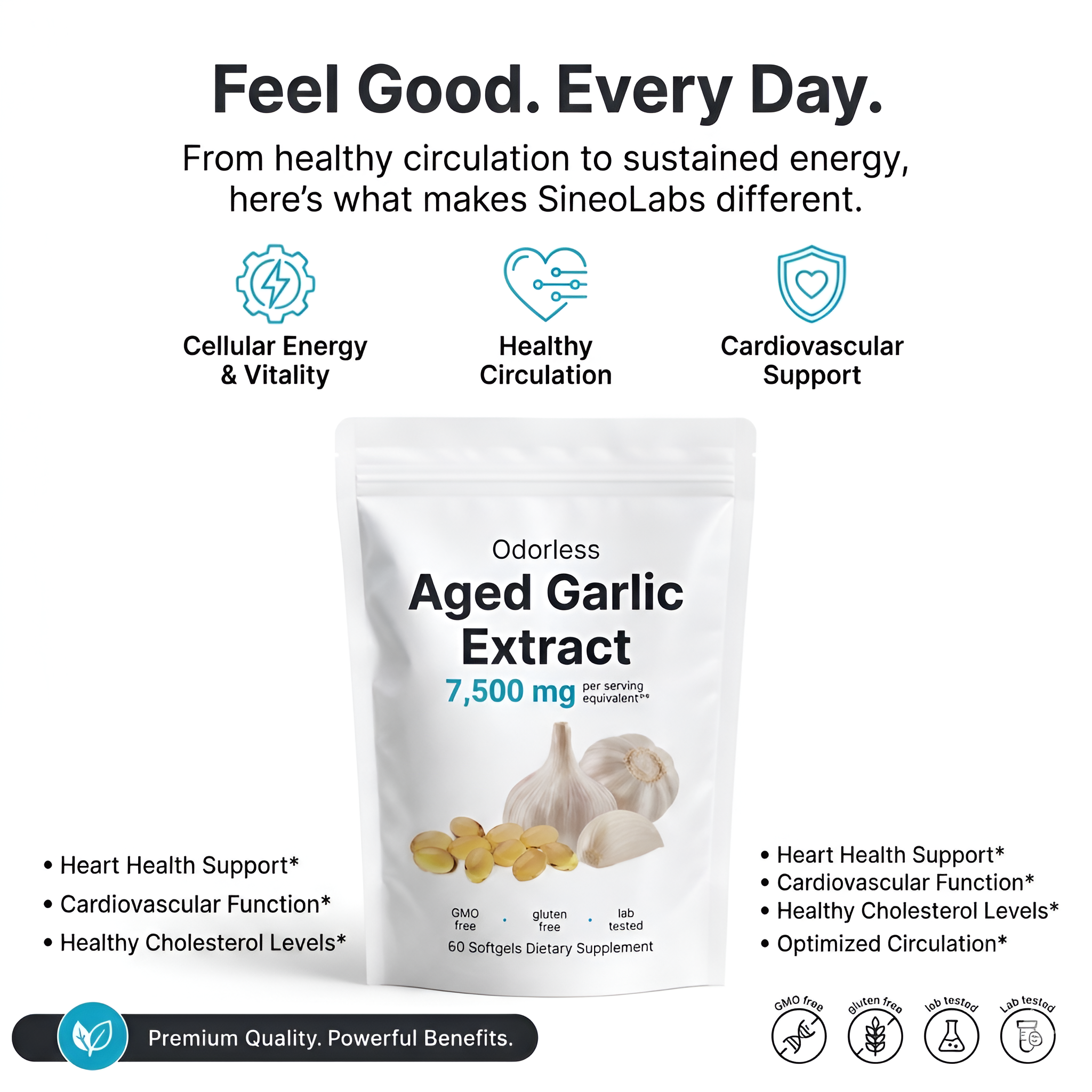 SineoLabs Aged Garlic Extract supplement package with product details on a white background