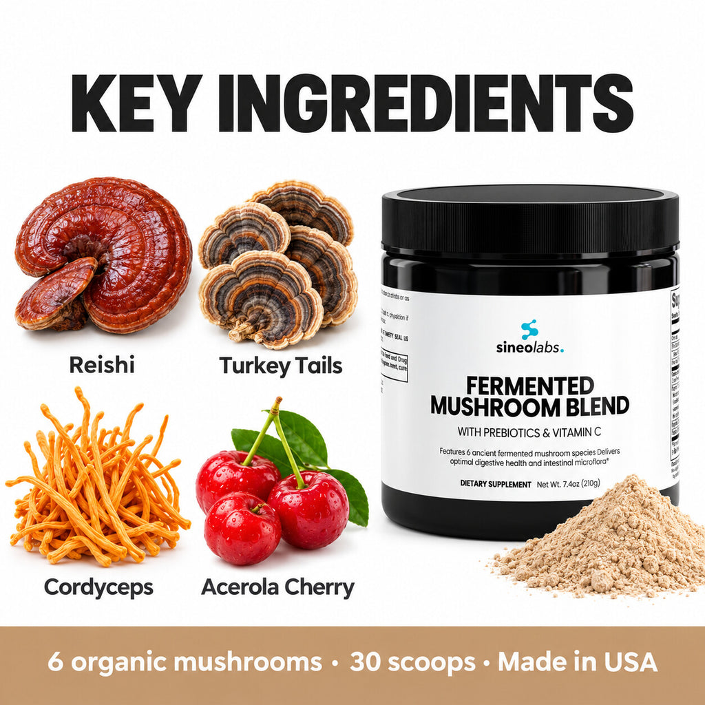 Fermented Mushroom Blend with Reishi & Cordyceps: Reishi, Turkey Tails, Cordyceps, Acerola Cherry