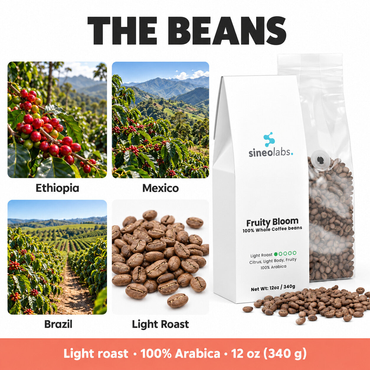 Fruity Bloom Light Roast Coffee, Whole Bean 12oz: Ethiopia, Mexico, Brazil, Light Roast