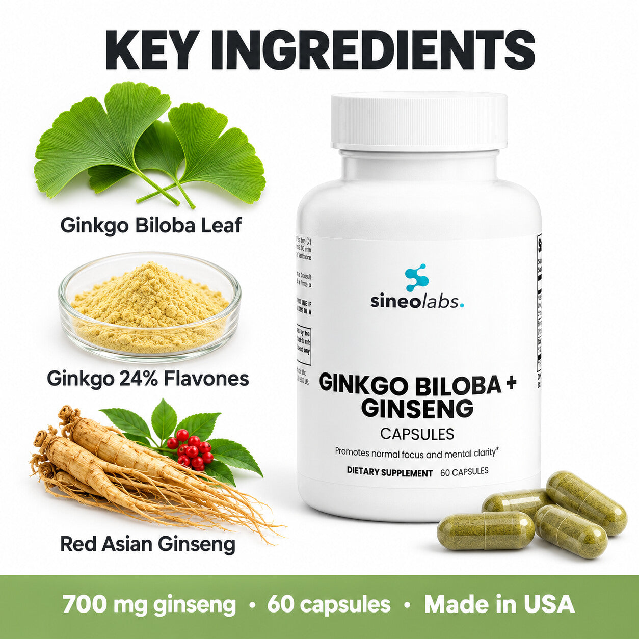 Ginkgo Biloba + Red Asian Ginseng Capsules: Ginkgo Biloba Leaf, Ginkgo 24% Flavones, Red Asian Ginseng