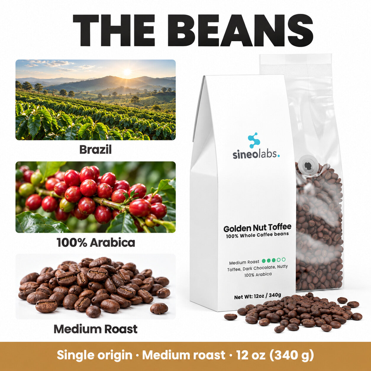 Golden Nut Toffee Medium Roast Coffee, Whole Bean: Brazil, 100% Arabica, Medium Roast