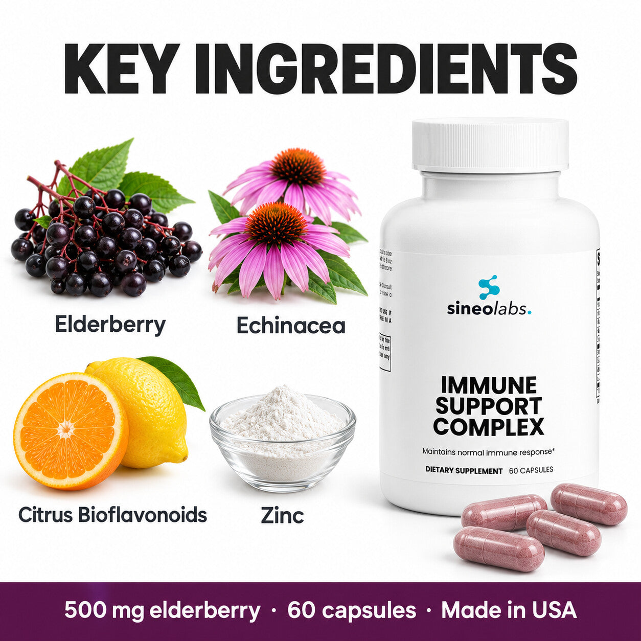 Immune Support Complex with Elderberry & Vitamin C: Elderberry, Echinacea, Citrus Bioflavonoids, Zinc