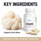Organic Lion's Mane Mushroom Capsules 1,000mg: Organic Lion's Mane