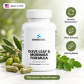 Olive Leaf & Moringa Formula with Holy Basil: Healthy Metabolism, Plant Extracts, 800 mg Blend