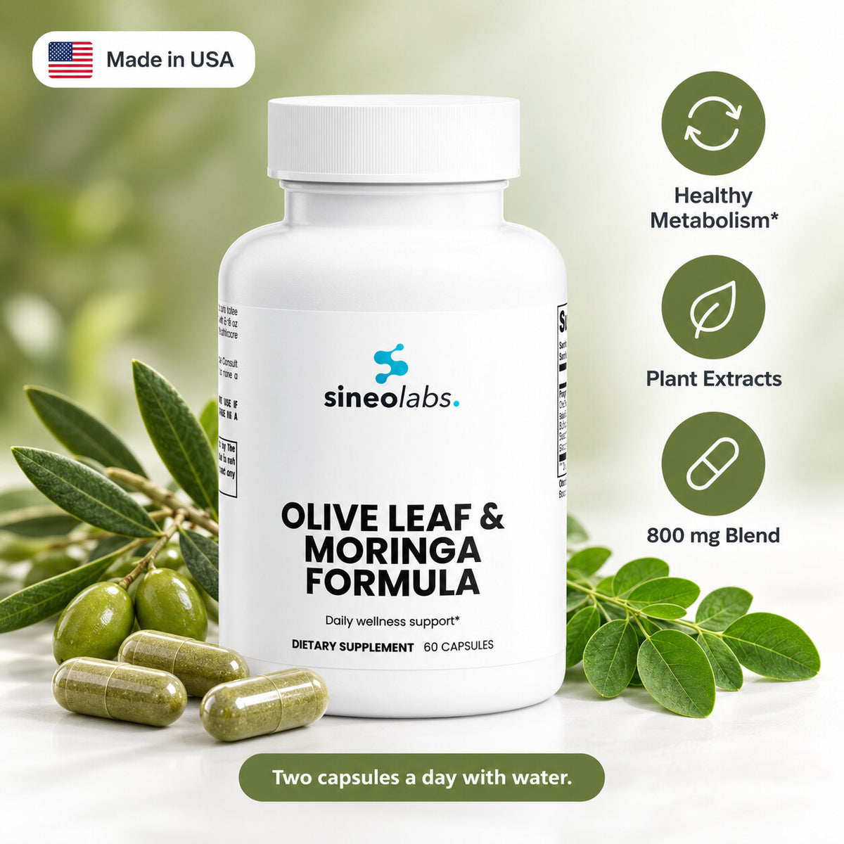 Olive Leaf & Moringa Formula with Holy Basil: Healthy Metabolism, Plant Extracts, 800 mg Blend