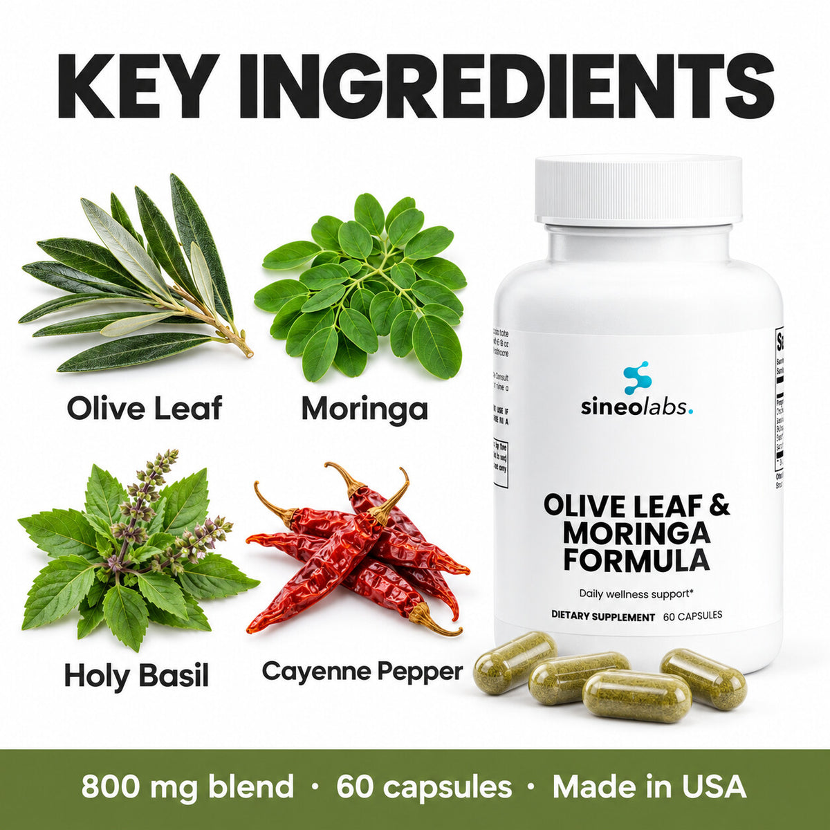 Olive Leaf & Moringa Formula with Holy Basil: Olive Leaf, Moringa, Holy Basil, Cayenne Pepper
