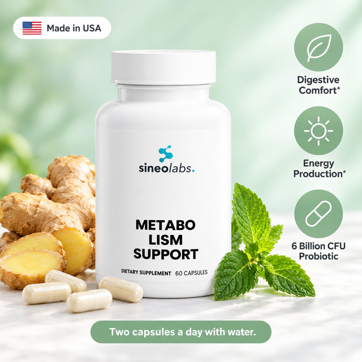 Metabolism Support with Probiotics & Enzymes: Digestive Comfort, Energy Production, 6 Billion CFU Probiotic