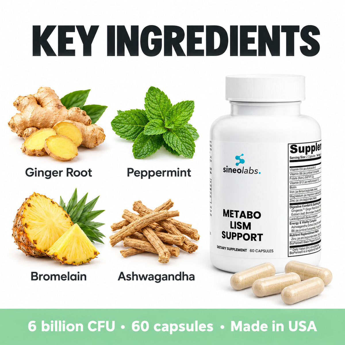 Metabolism Support with Probiotics & Enzymes: Ginger Root, Peppermint, Bromelain, Ashwagandha
