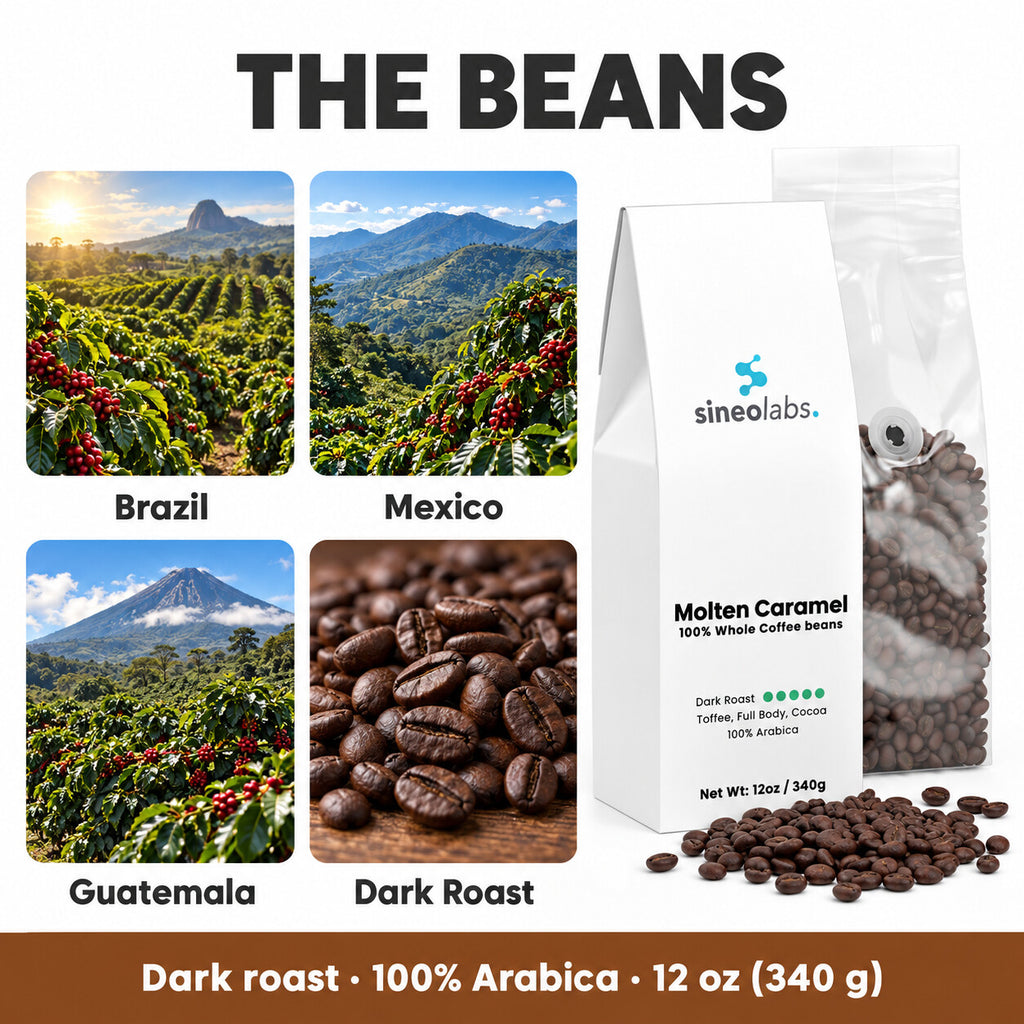 Molten Caramel Dark Roast Coffee, Whole Bean 12oz: Brazil, Mexico, Guatemala, Dark Roast