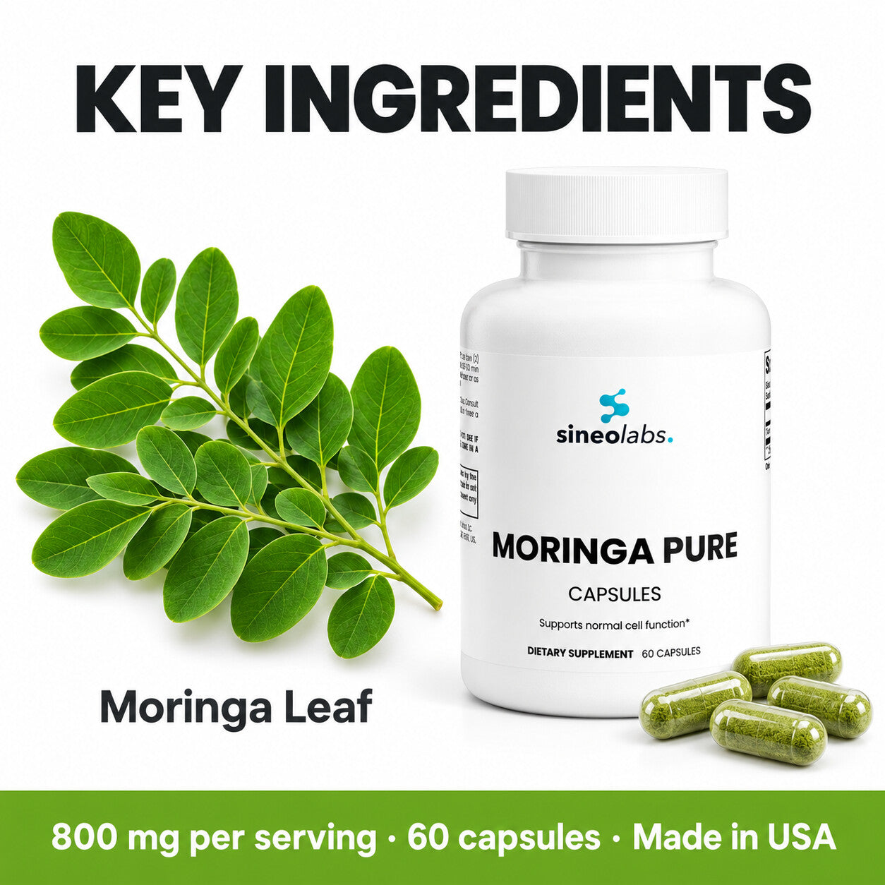 Moringa Pure Leaf Capsules 800mg, 60 Count: Moringa Leaf