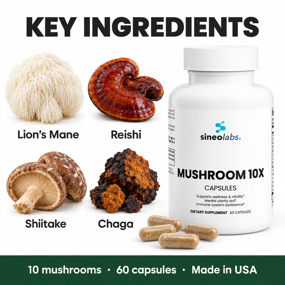 Mushroom Complex 10 X with Lion's Mane & Reishi: Lion’s Mane, Reishi, Shiitake, Chaga