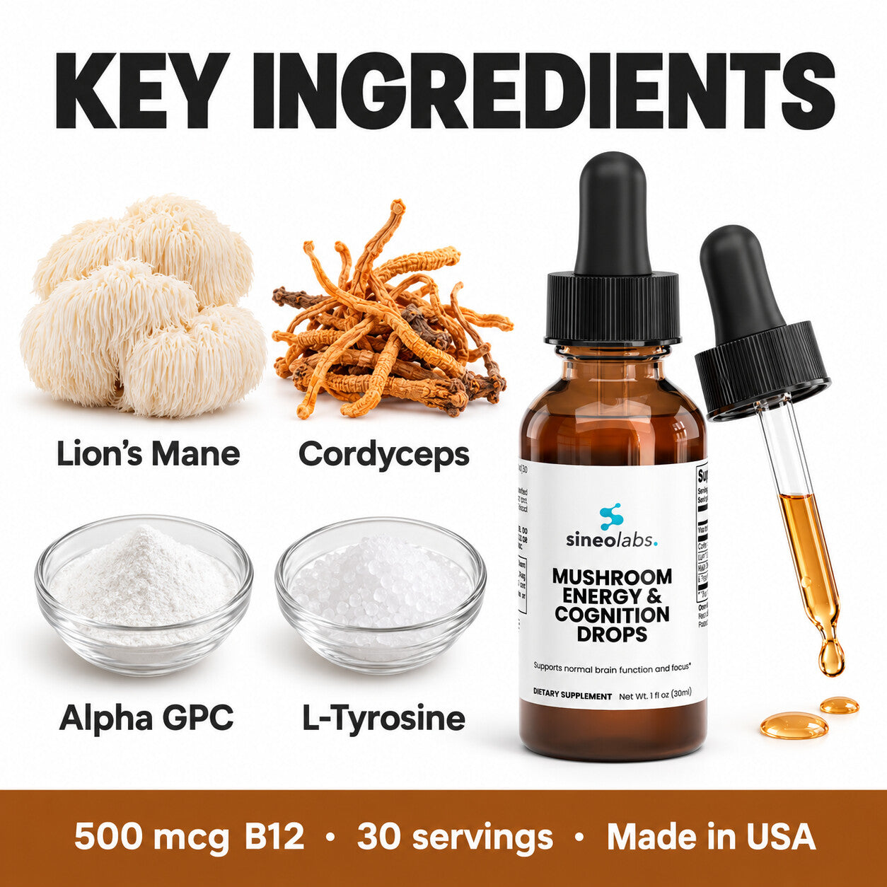 Mushroom Energy & Cognition Drops, Lion's Mane: Lion’s Mane, Cordyceps, Alpha GPC, L-Tyrosine