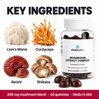 Mushroom Extract Complex Gummies, Raspberry: Lion's Mane, Cordyceps, Reishi, Shiitake