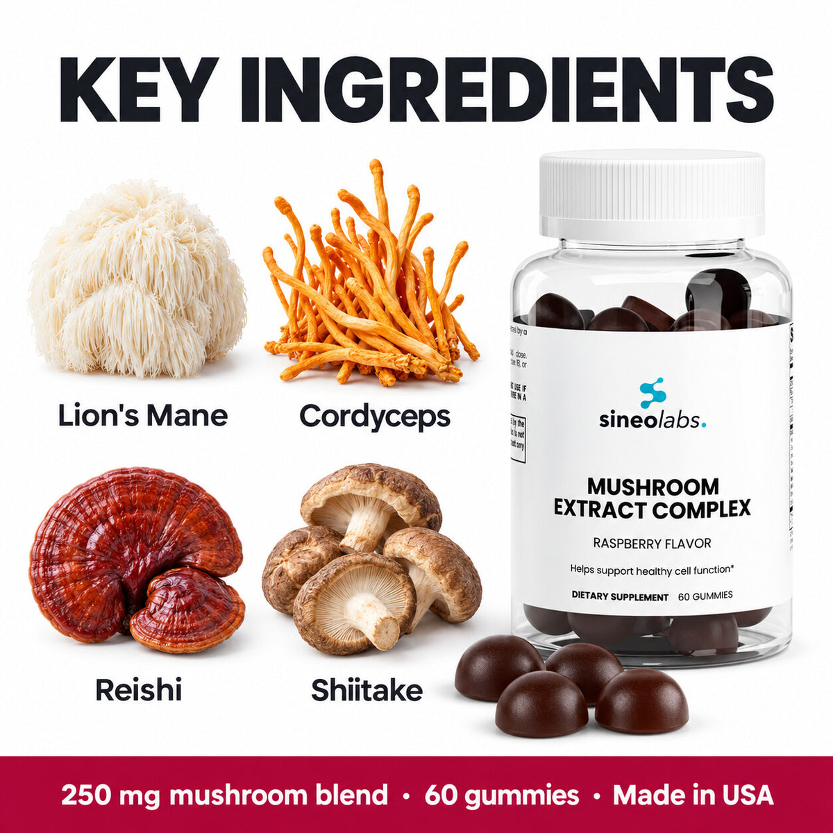 Mushroom Extract Complex Gummies, Raspberry: Lion's Mane, Cordyceps, Reishi, Shiitake