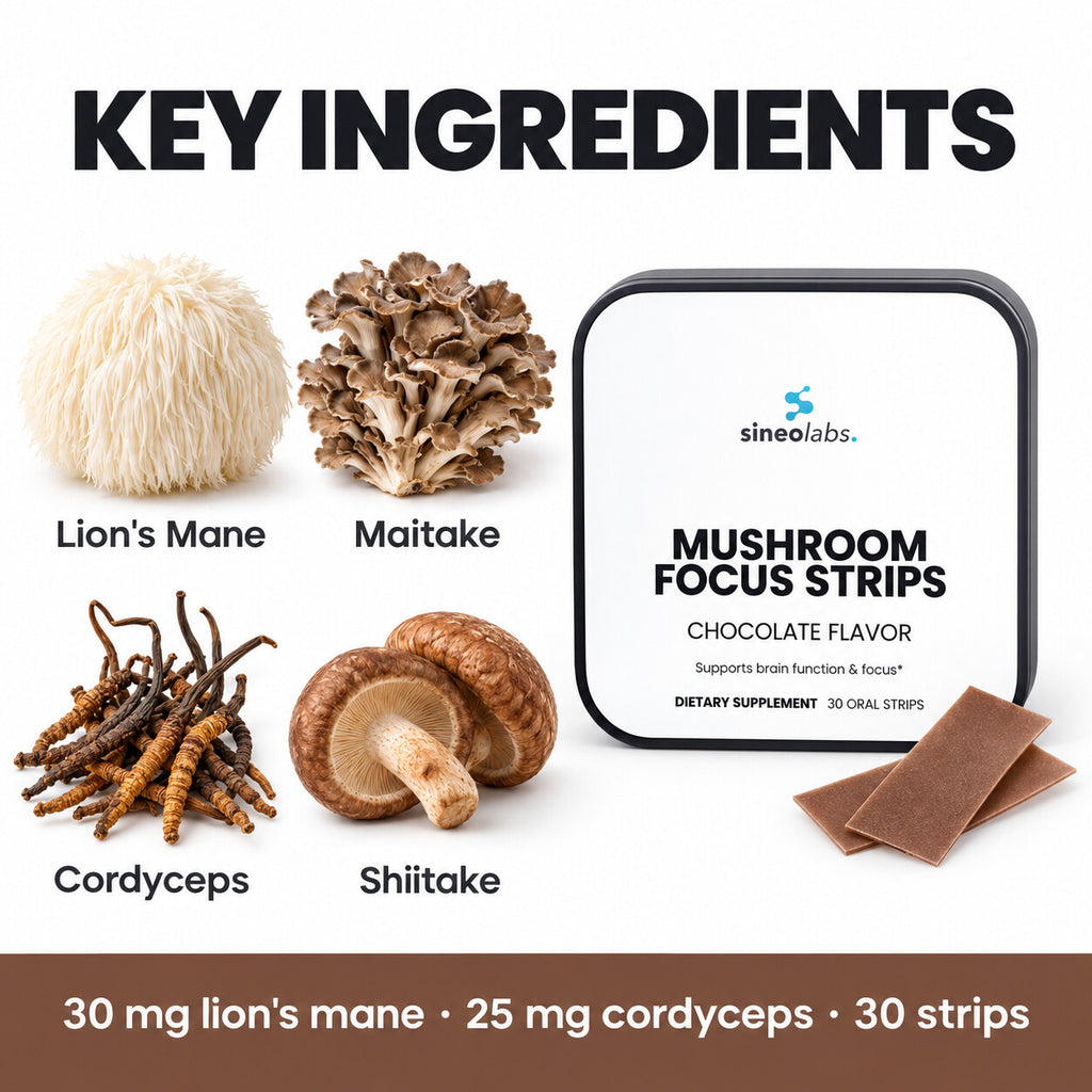 Mushroom Focus Strips with Lion's Mane, Chocolate: Lion's Mane, Maitake, Cordyceps, Shiitake