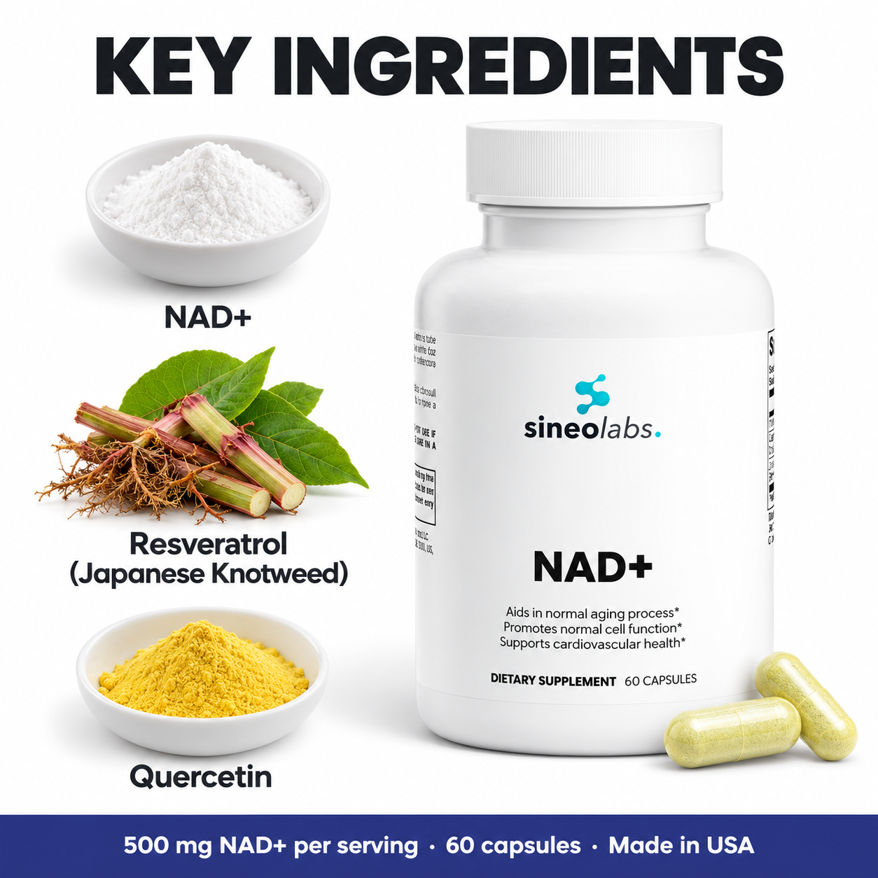 Key ingredients of NAD+: NAD+, Resveratrol (Japanese Knotweed), Quercetin