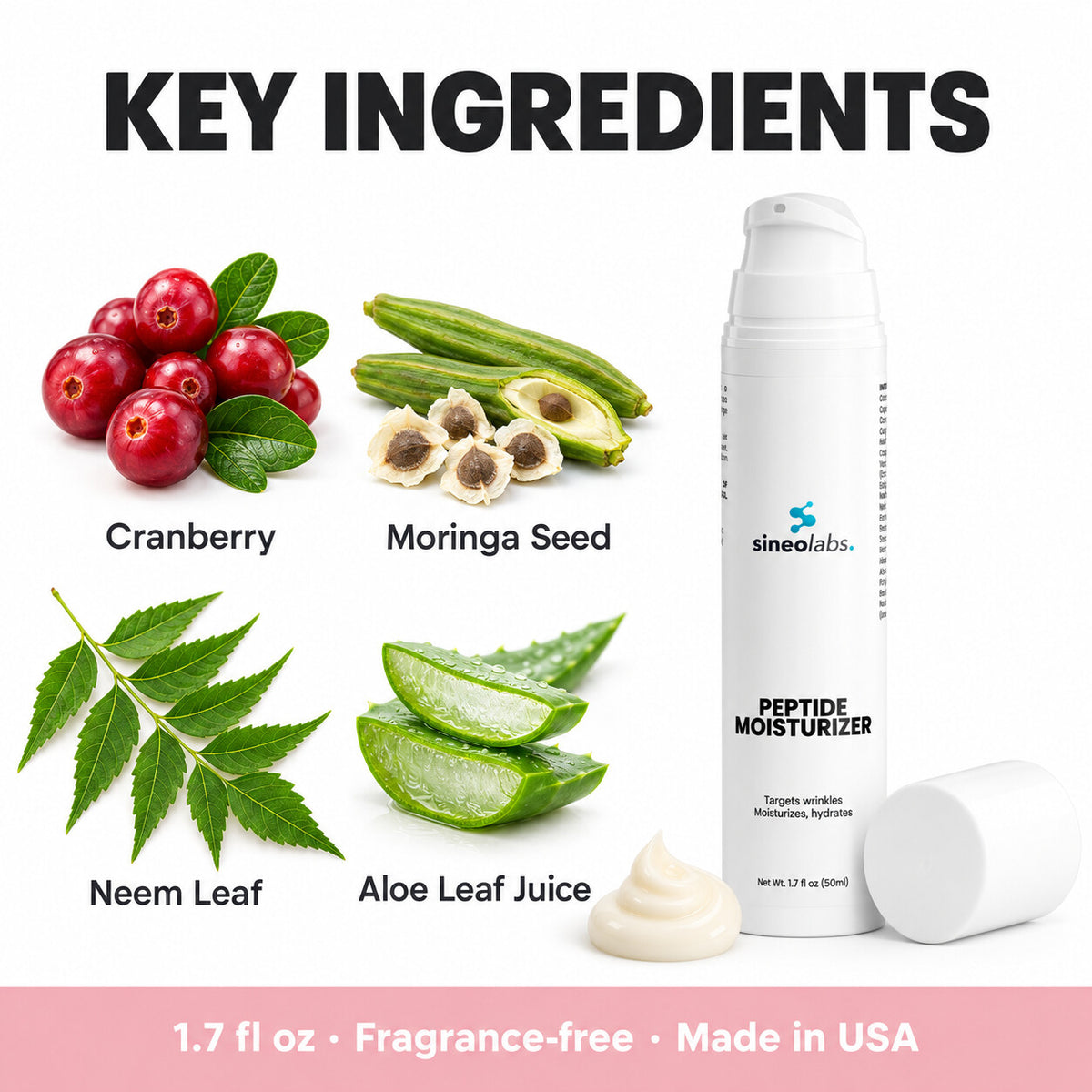 Peptide Moisturizer with Cranberry Extract: Cranberry, Moringa Seed, Neem Leaf, Aloe Leaf Juice